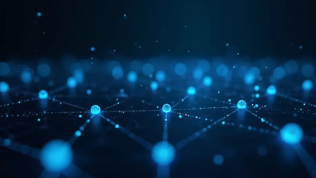 Cryptocurrency network