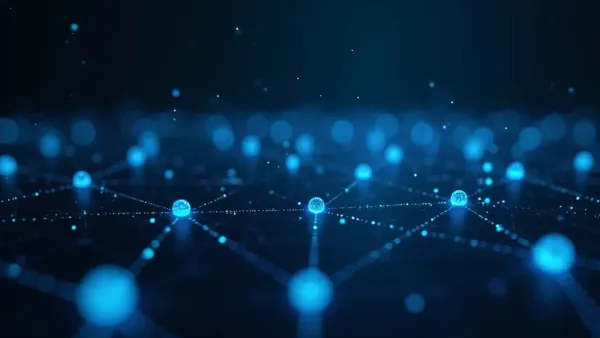 Cryptocurrency network