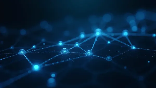 Cryptocurrency network